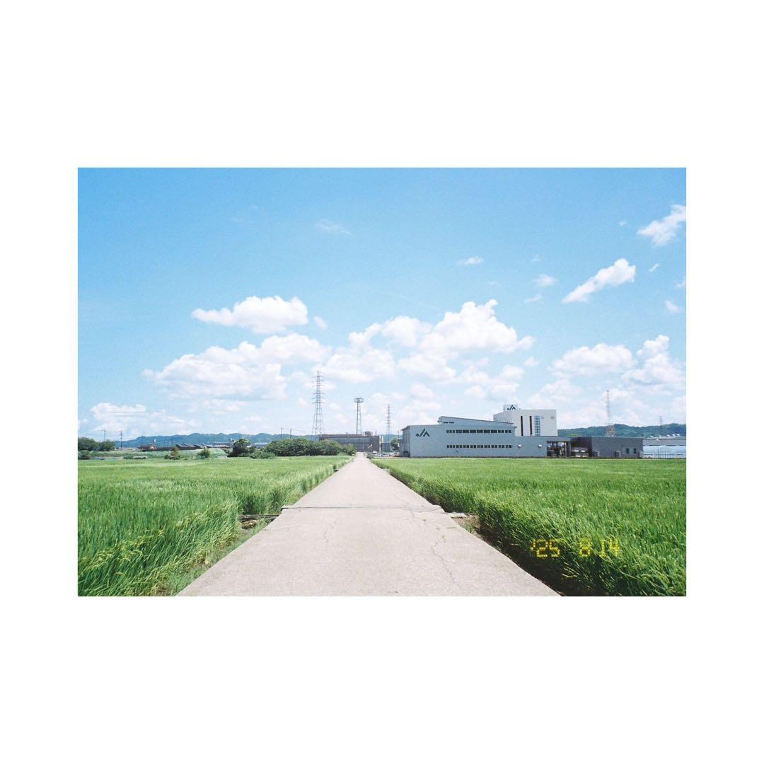 ⌘完動品！ 電池付き、作例あり！ Nikon Lite touch 120⌘