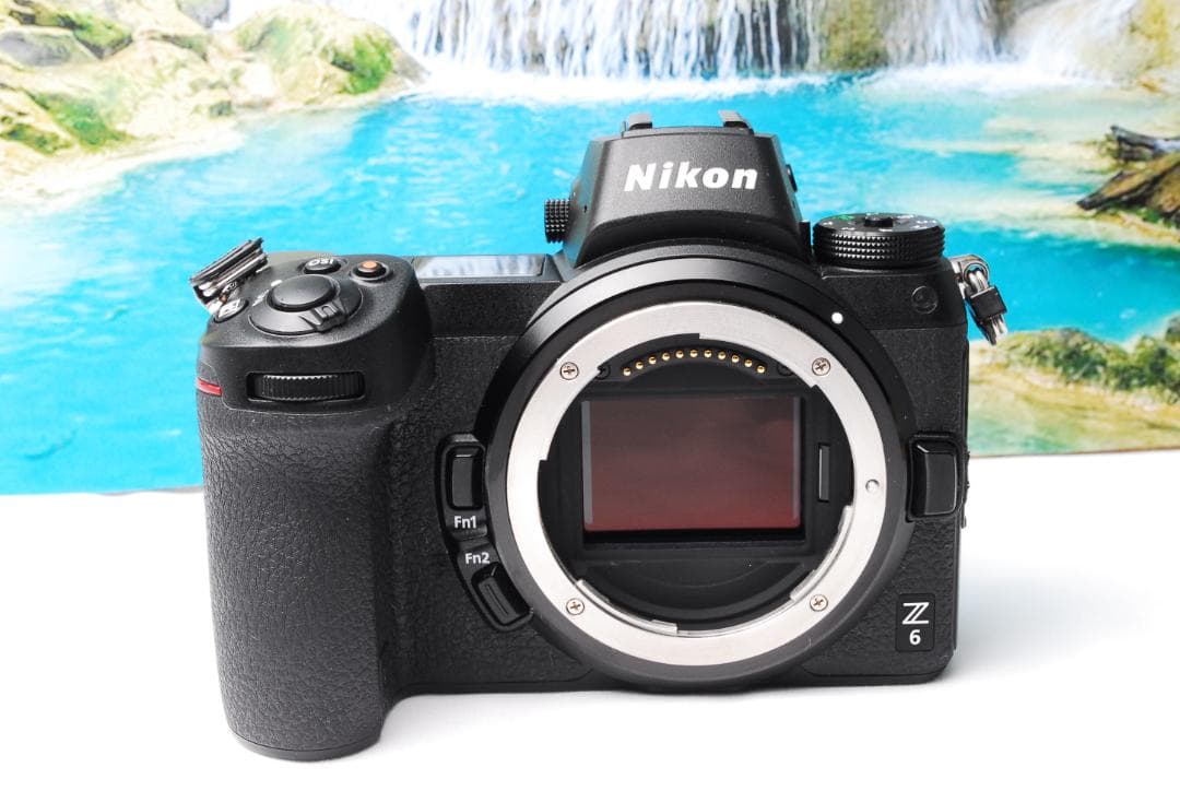 Nikon Z6 ミラーレス一眼カメラ 本体