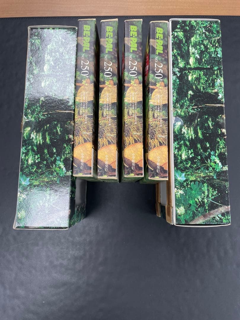 ビーパル　チョコエッグ　リュウキュウヤマガメ×4体　チョコラザウルス×２種