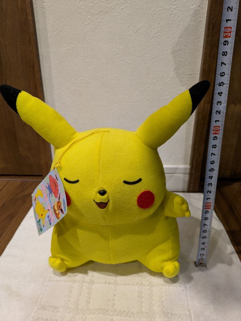 ポケットモンスター Pokemon ポケモン ピカチュウ イーブイ ラフレシア