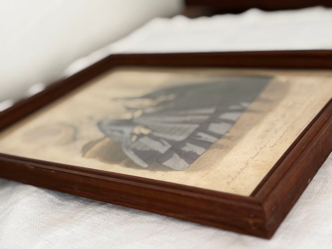 フランス　蚤の市　ファッション　ブロカント　額