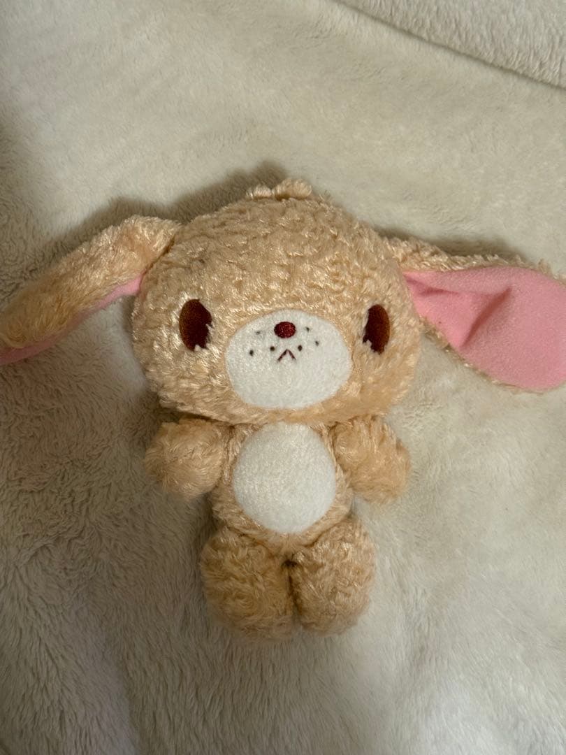 シュガーバニーズ　ぬいぐるみ　ラテうさ　サンリオ