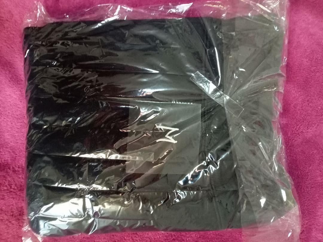 ミュージシャン THE HATE HONEY