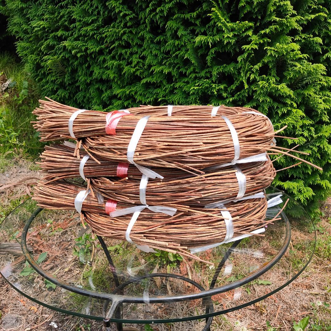 みっくん　青森県岩木山採取　あけび蔓　150cm～　練習用　3kg