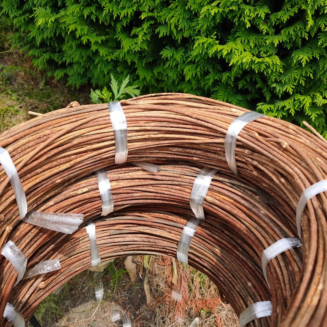 みっくん　青森県岩木山採取　あけび蔓　150cm～　練習用　3kg