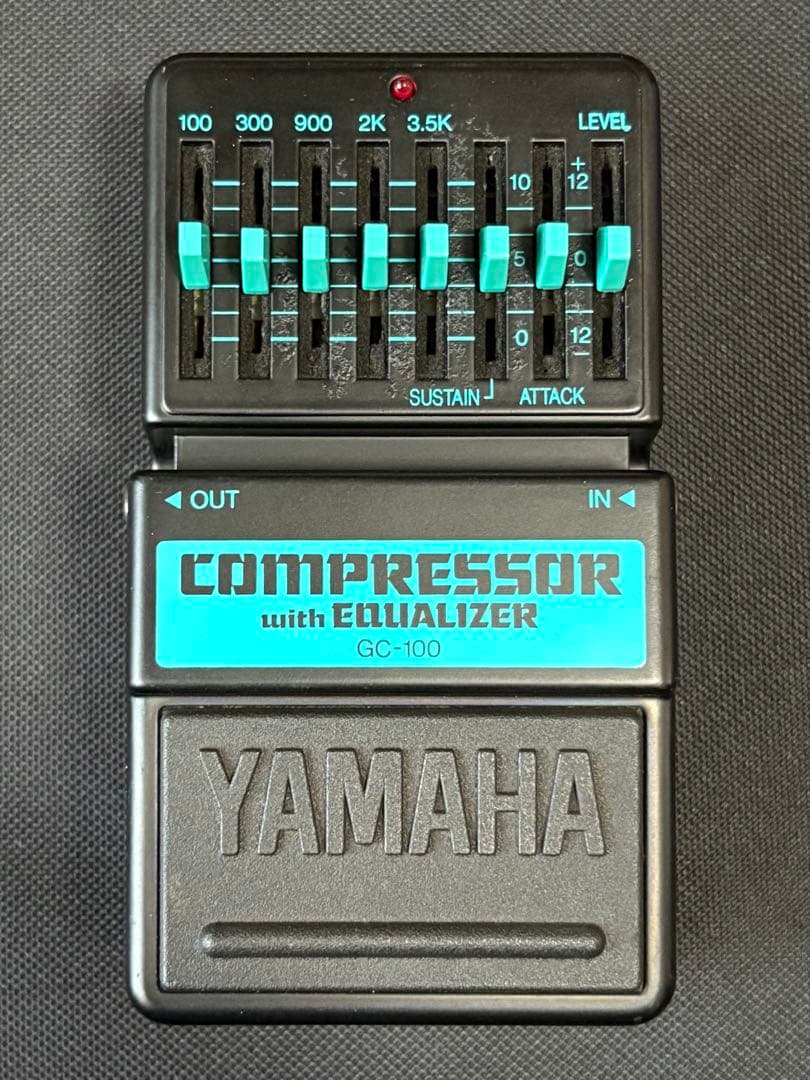 ギター YAMAHA GC-100