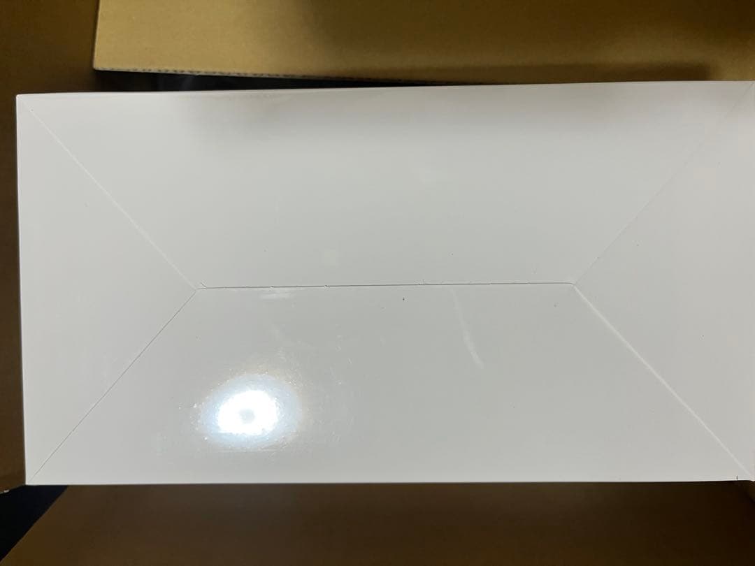 【即日発送】 POPMART LABUBU Big into Energy