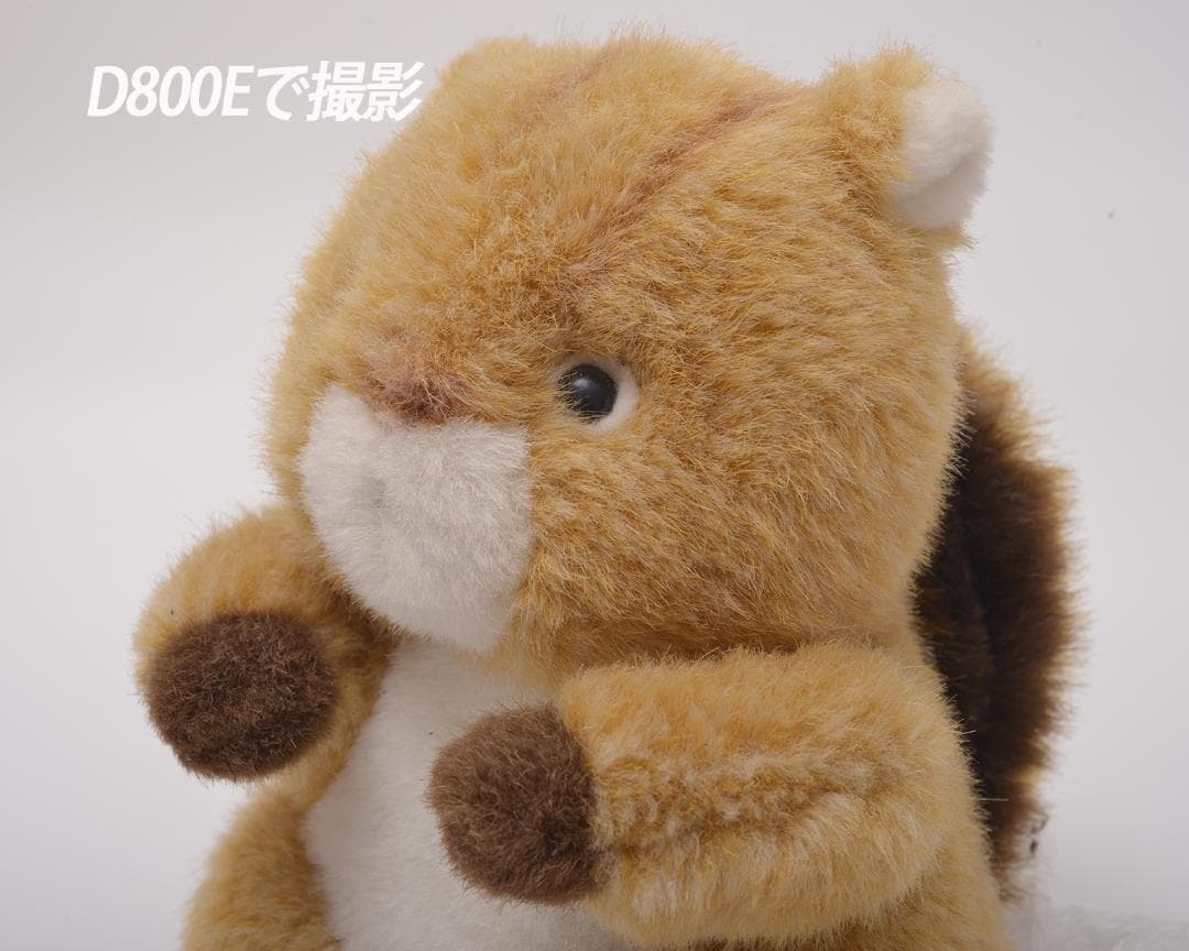 Ai Zoom-NIKKOR 28-50mm F3.5 S レンズ