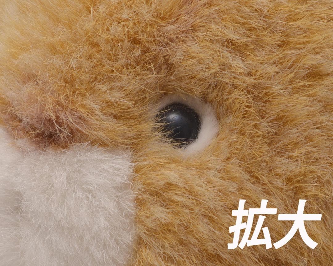 Ai Zoom-NIKKOR 28-50mm F3.5 S レンズ