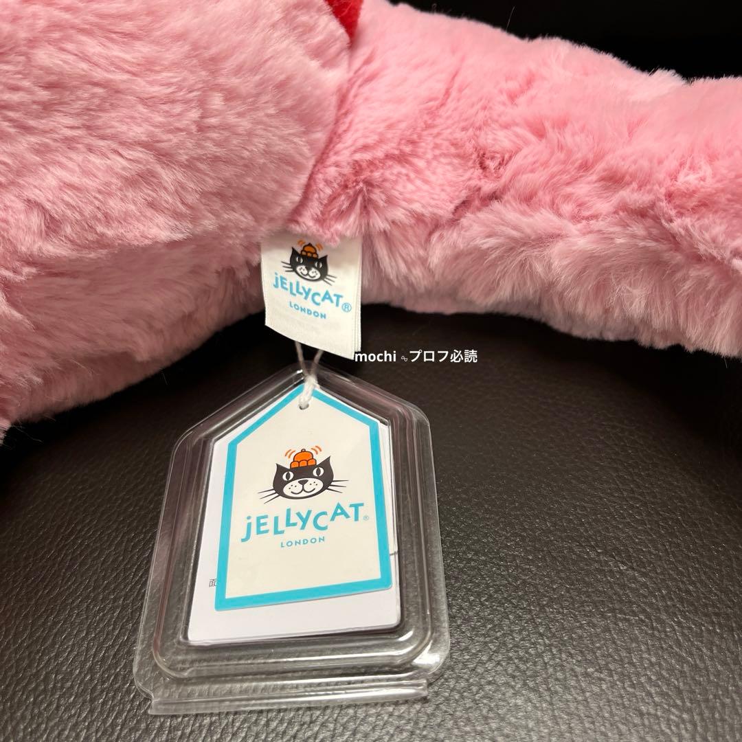  Heart Dragon バレンタイン ドラゴン赤ピンク新品