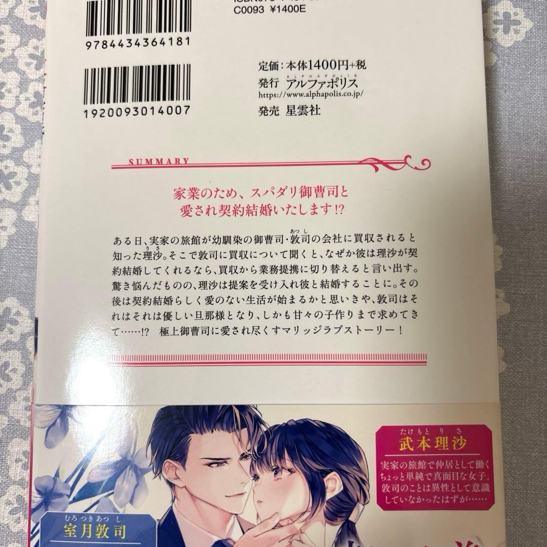 【専用】エタニティブックス・ルネッタブックス　9月新刊　他