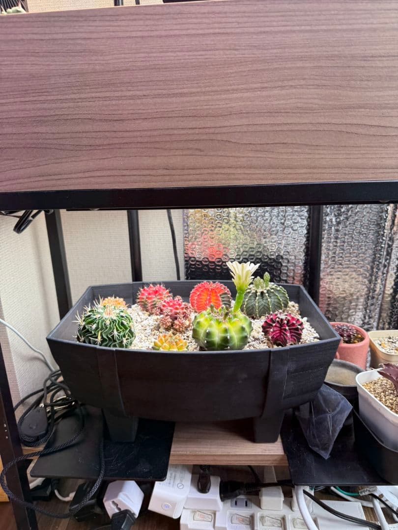 【美品】Barina　植物育成ライト 約20本セット（米Amazon購入品)