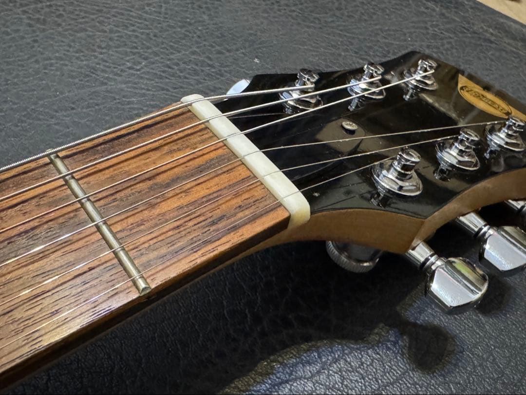 ピグノーズ （ギターのみ）