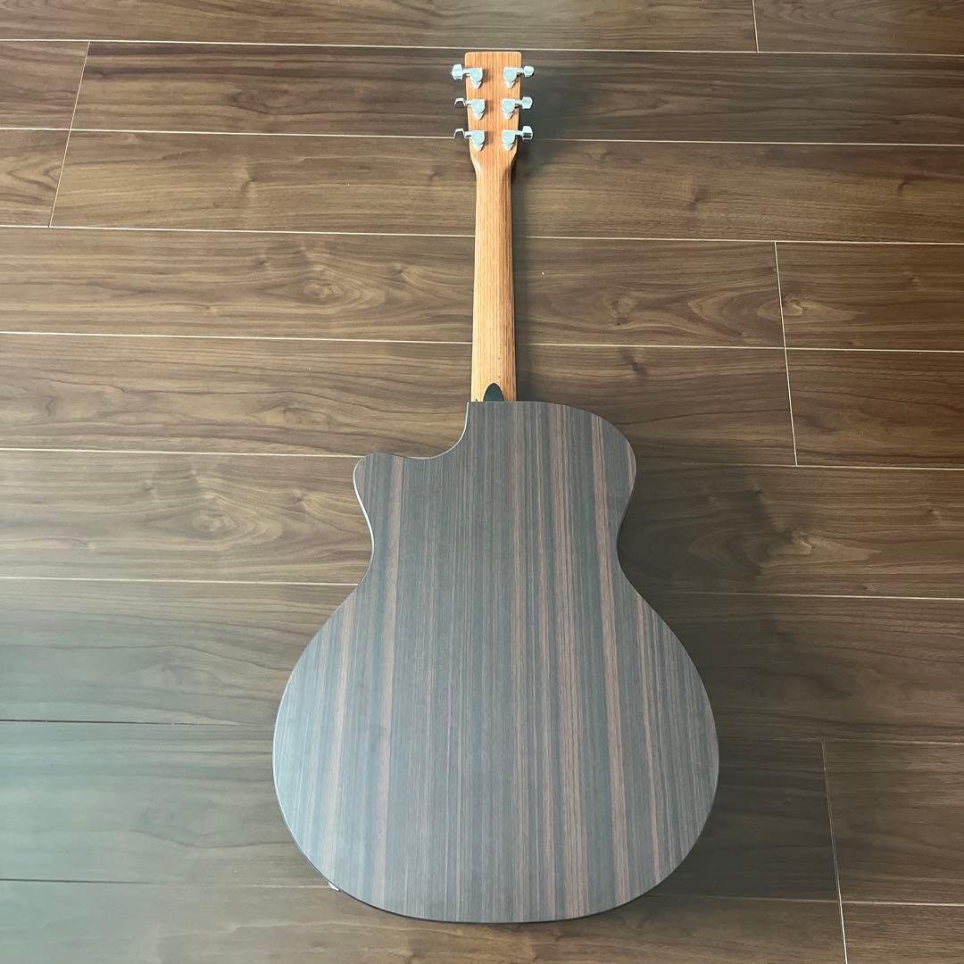 ギター Martin &Co EST.1833 GPCX1RAE