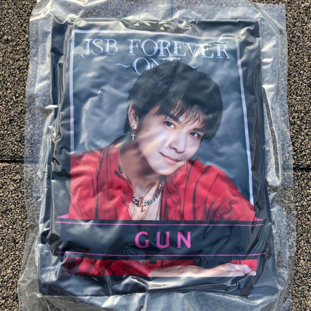 ★即購入⭕️ 三代目JSB 15TH ANNIVERSARY 岩田剛典クッション