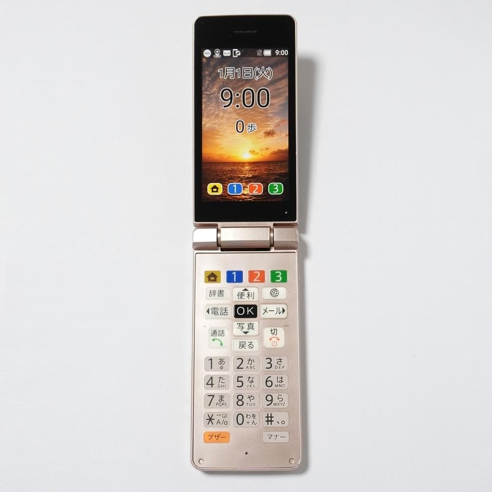 かんたん携帯10 807SH ゴールド SIMロック解除済 SD付 ソフトバンク
