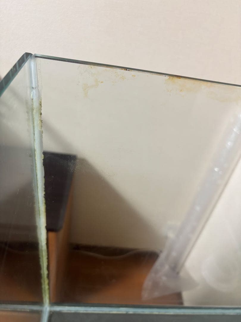 【引取り限定】オーバーフロー水槽　W60 D45 H45