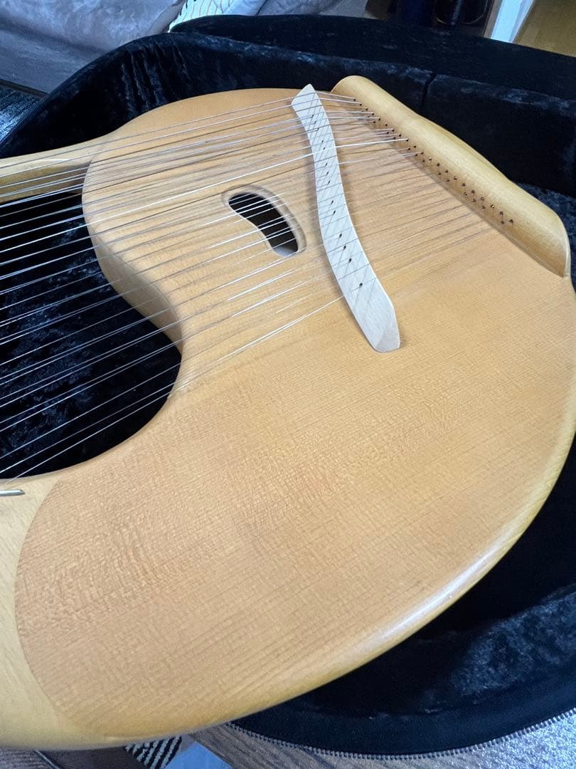 ゲルトナー　ライアーハープ　35弦　ハードケース、ソフトバッグ付き