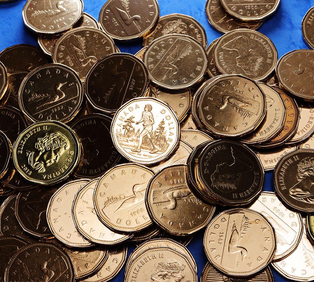 a091 カナダ　1ドル　　 硬貨　100枚　まとめて