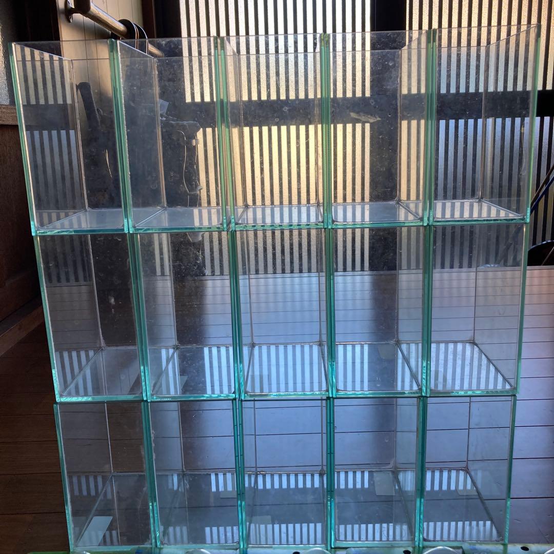 ショーベタコレクションケースM14個、おやすみリーフ14個、カルキ抜き14個⭐︎