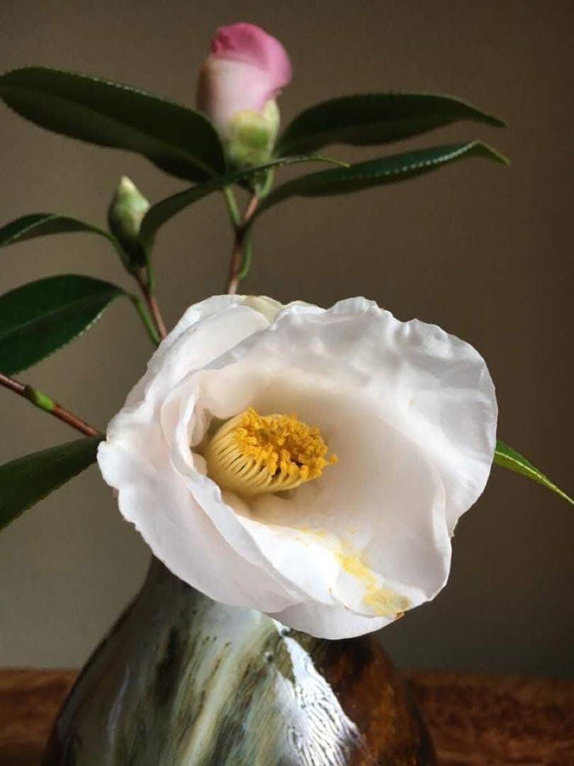 徳利　朝鮮唐津風徳利