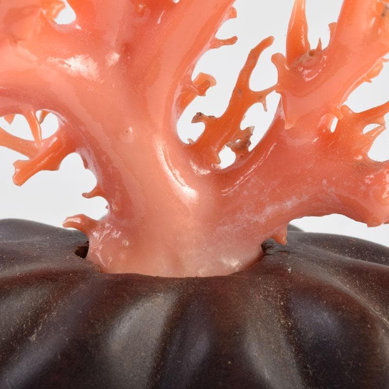 中国　赤珊瑚　サンゴ　置物　唐木台・ケース付　V　9075