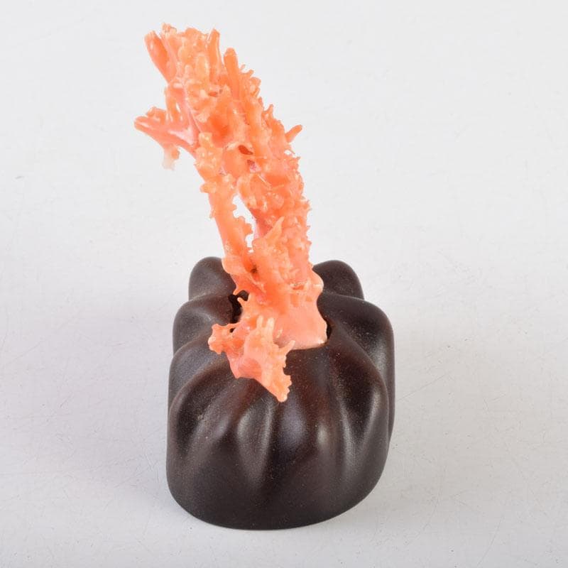 中国　赤珊瑚　サンゴ　置物　唐木台・ケース付　V　9075