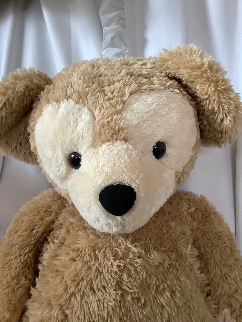 TDRTDSTDL ダッフィー　徳大　LL ディズニーシー