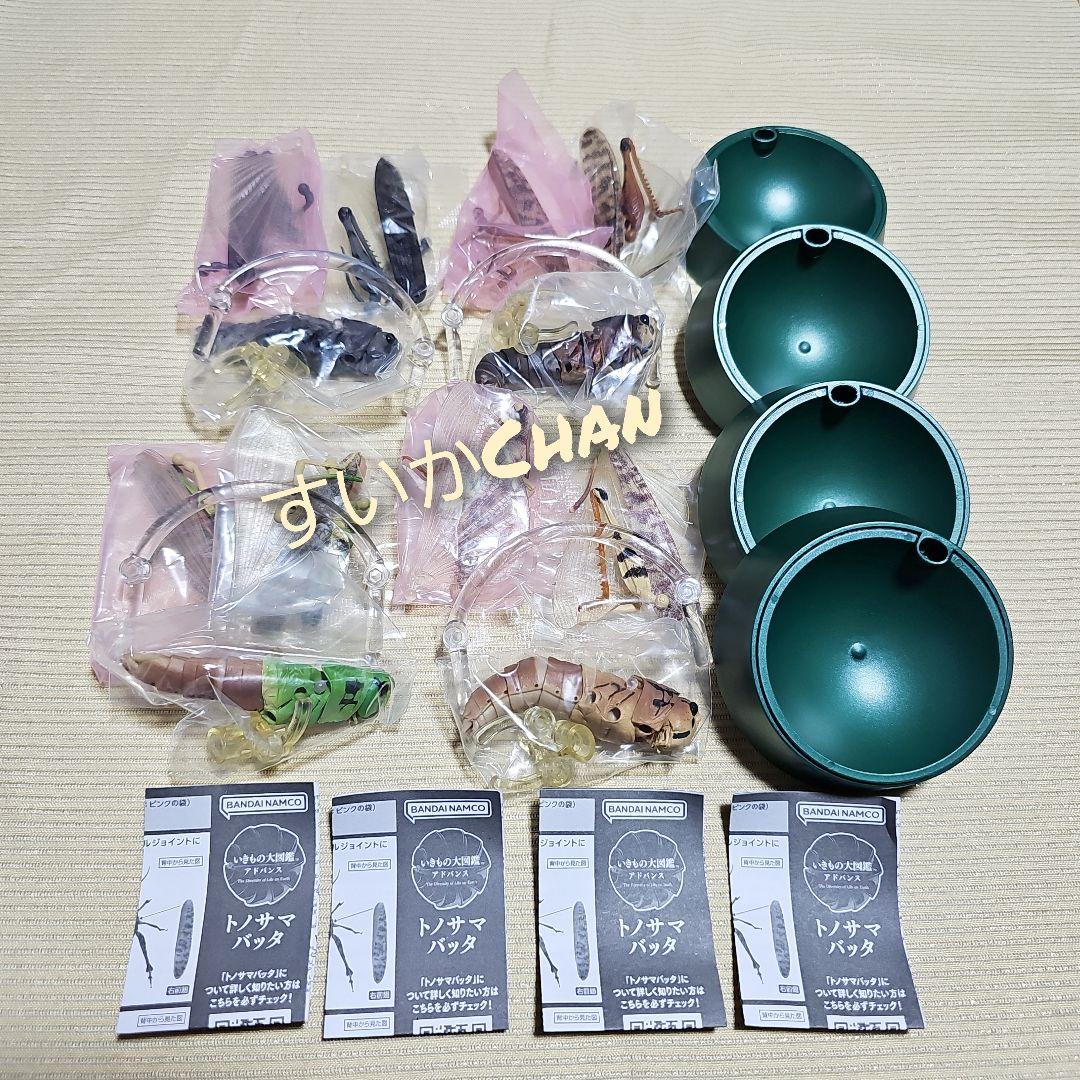 いきもの大図鑑アドバンス トノサマバッタ 全4種類 コンプ ガチャ ①