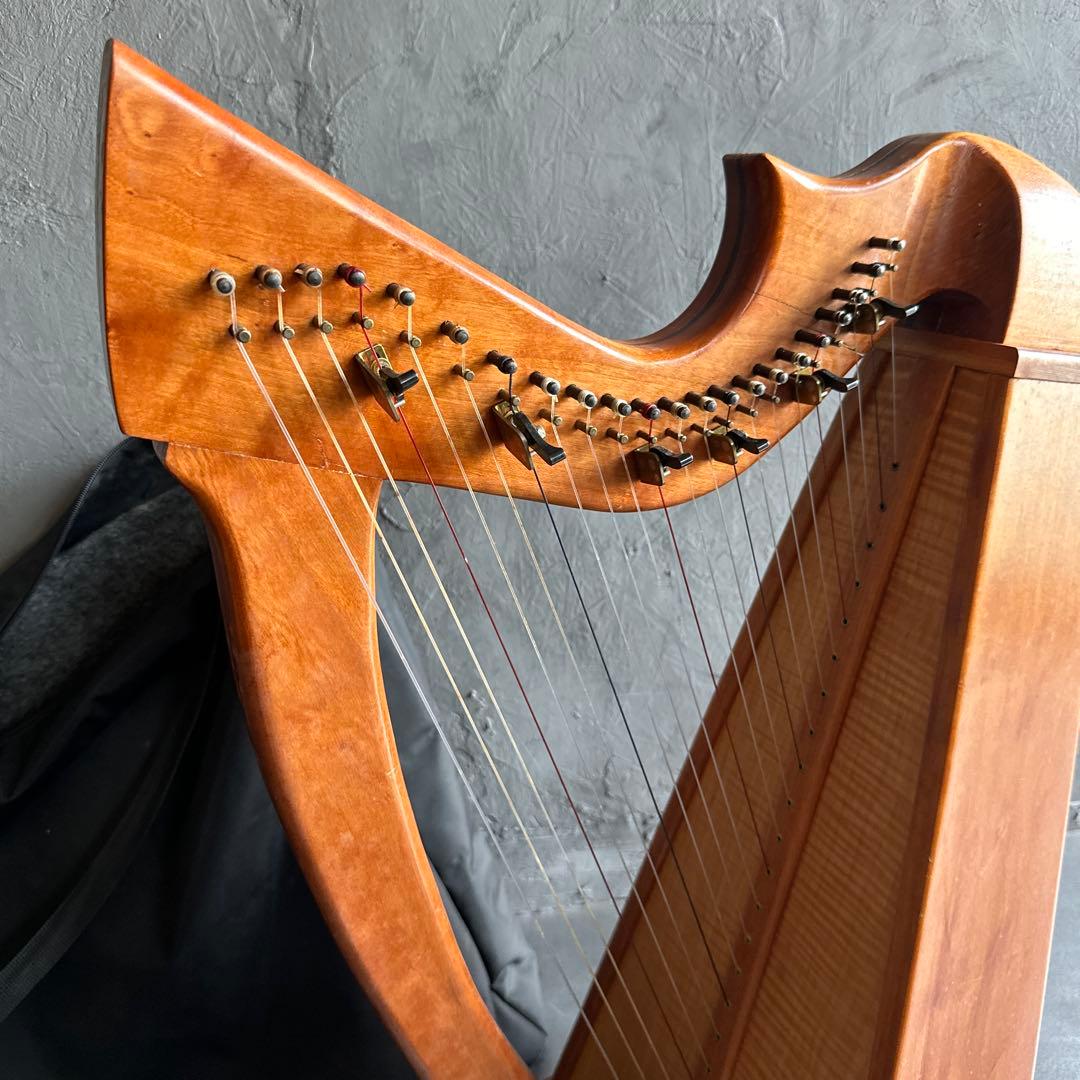 明日削除❣️ハープ22弦　弦たくさんついてます！中古