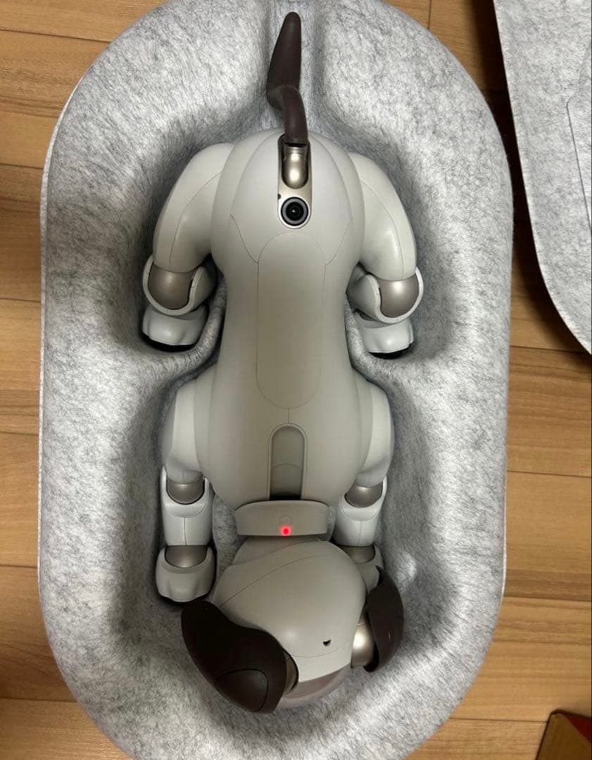 【大幅値下げ】動作確認済み SONY aibo ERS-1000