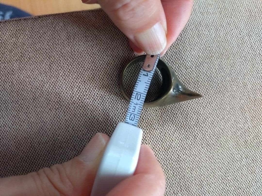 ビューティビースト　シルバーコーティング薔薇の棘デザインのリング