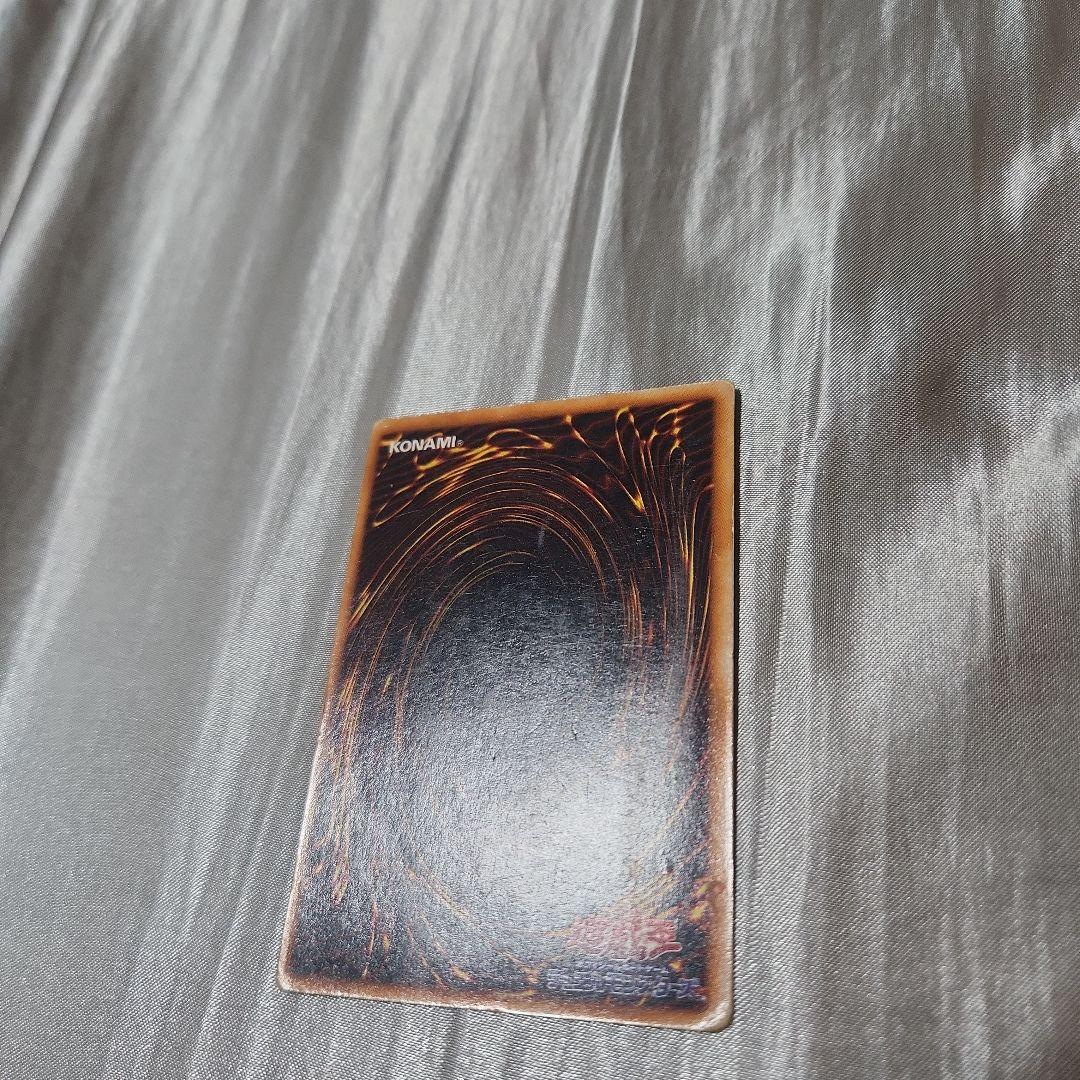 ホーリーナイトナイトドラゴン