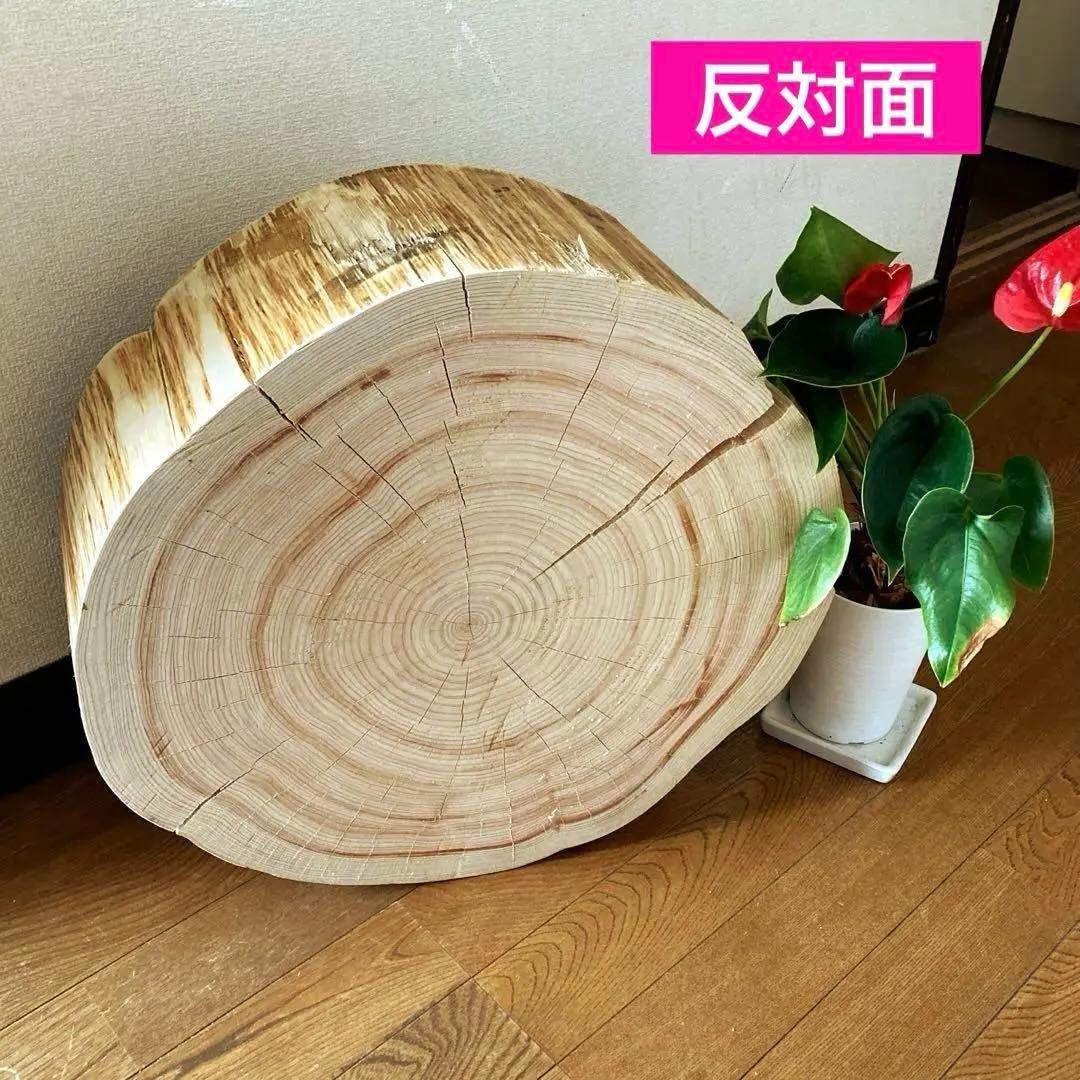 一枚板　切り株　ナチュラルウッド　特大46cm 樹齢約80年 ハンドメイドB