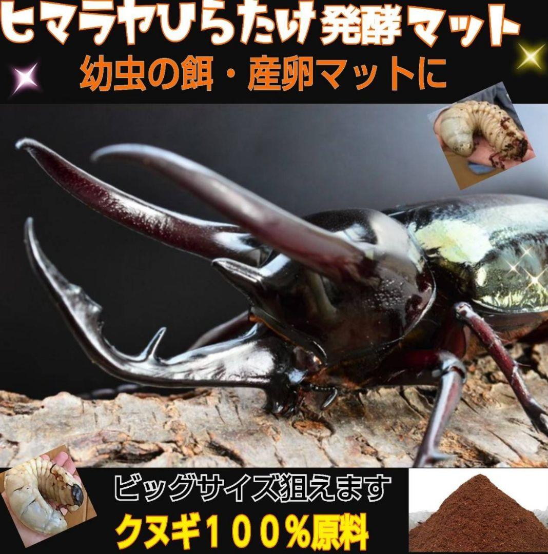 高品質！カブトムシ幼虫の餌　大きくなる！発酵マット【6袋】雑虫が湧きません！