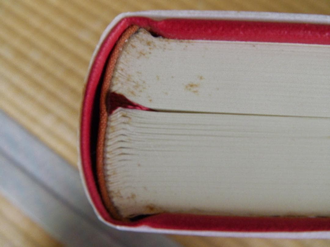 新聖書注解　全７巻　いのちのことば社