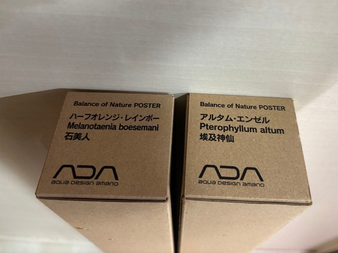 ADA ポスター新品　2枚セット