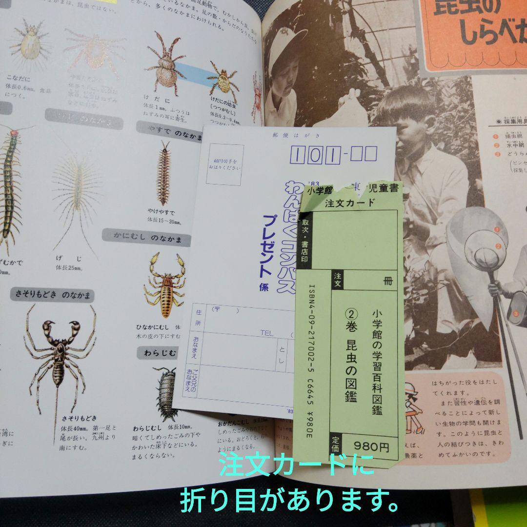 昆虫図鑑付録未使用折りたたみポスター 付海外カブトムシ＆クワガタ昭和58年当時品