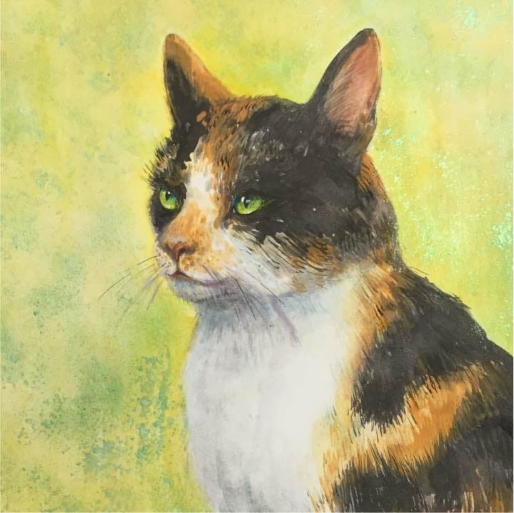 三毛猫、イラストボード22cm×30,5cm