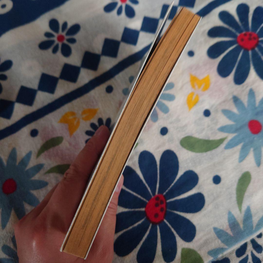 ホップステップ賞 SELECTION 13（ONE PIECE尾田先生作品収録）