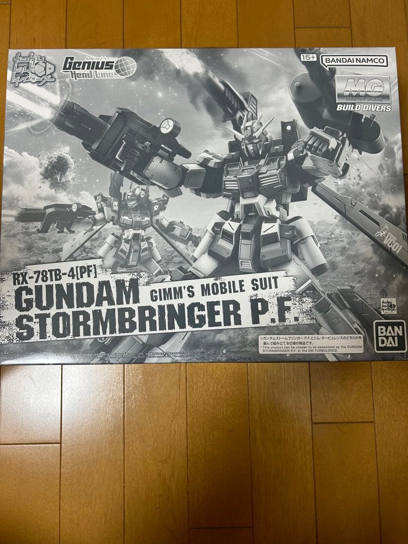 ＭＧ 1/100 ガンダムストームブリンガー Ｐ.Ｆ.