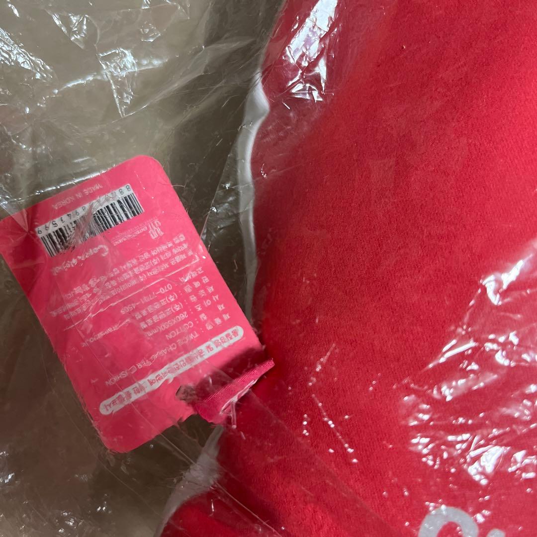 TWICE チェヨン　キャラクター クッション　トゥドゥンイ