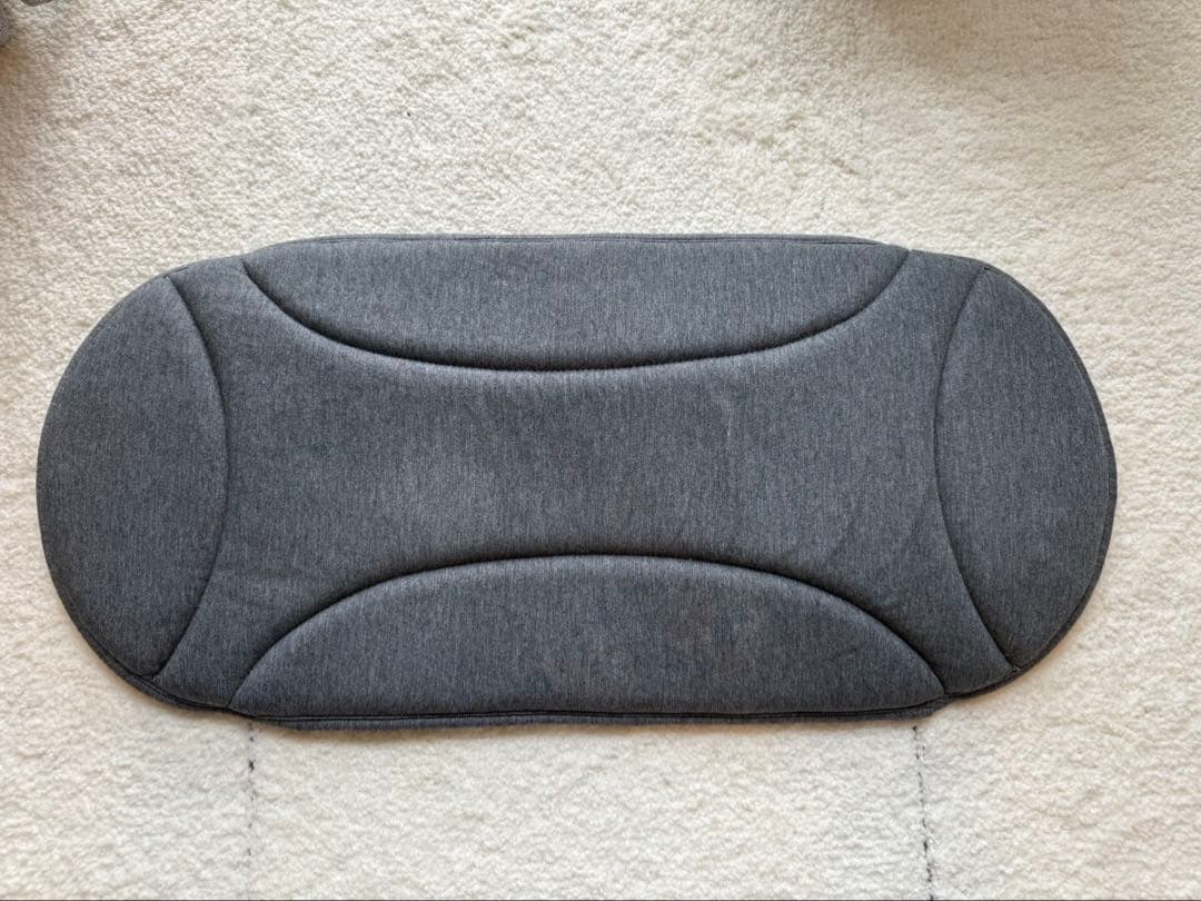 【美品】AIRBUGGY ドーム3 ラージサイズ ペットカート　別売品5点付