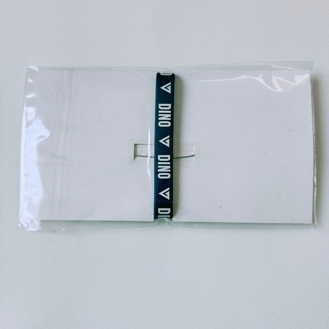 ディノ　SEVENTEEN ネームワッペン&ラバーバンド 2017