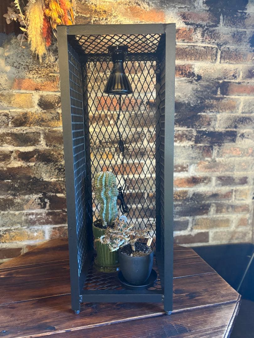 【年末セール特価】300×300mm インダストリアルな植物棚　アイアンシェル