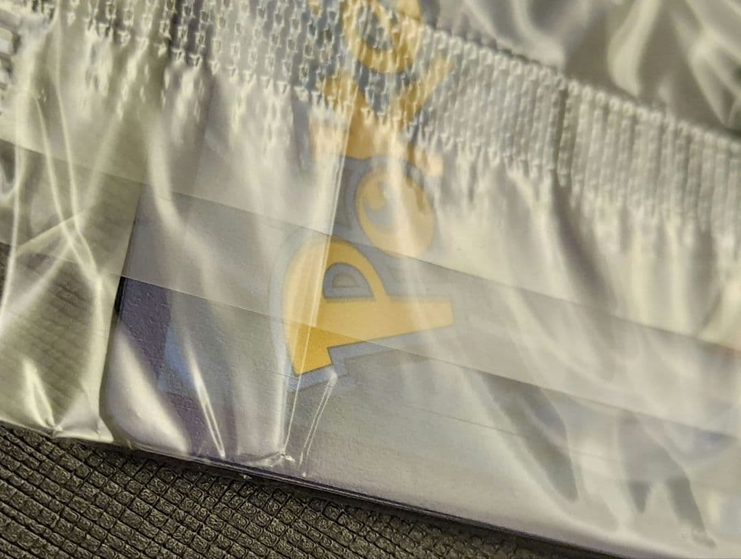 【未開封】2枚入り プロモ メガリザードンx ex オドリドリex 英語版