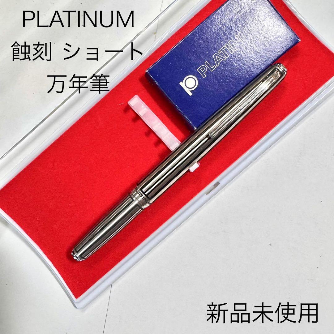 廃番 PLATINUM ショート 万年筆 蝕刻 14K W.G.