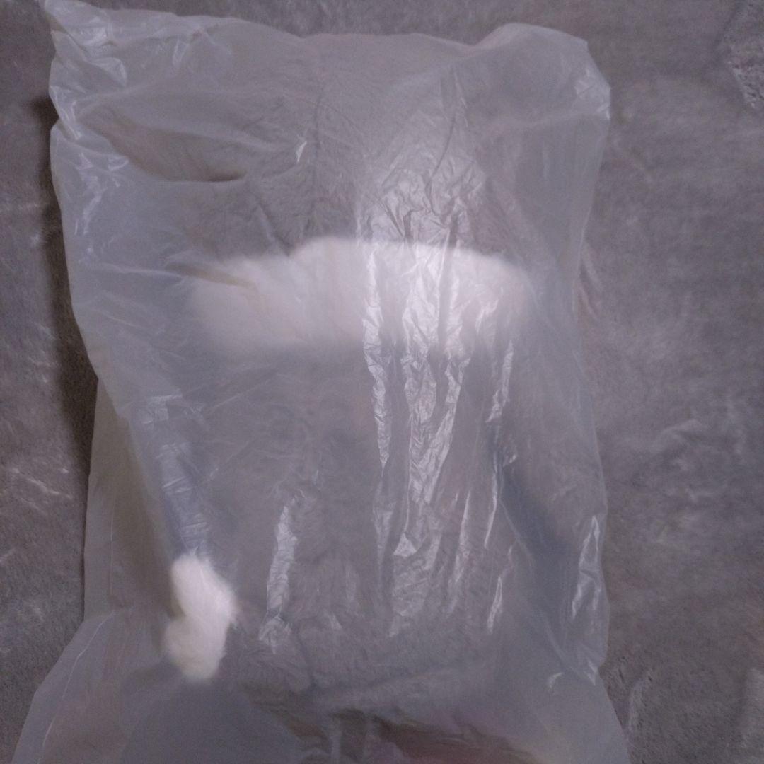 StrayKids　ウルフチャン　テディベア　SKZOO