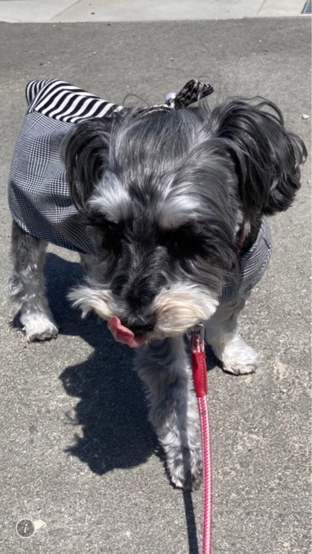 miniさま  確認用　その②