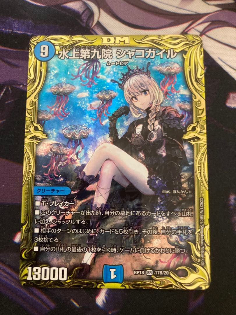 水上第九院シャコガイル　B